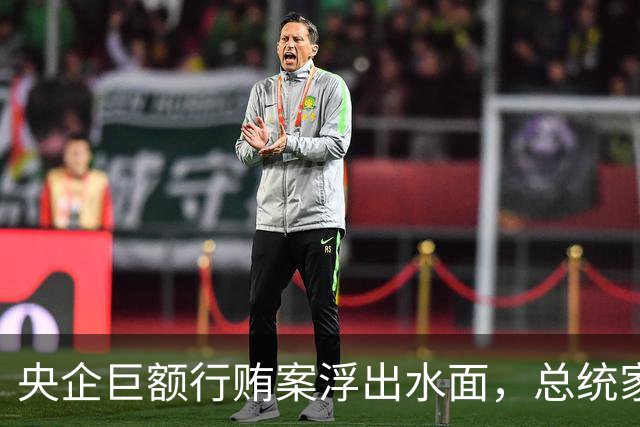 央企巨额行贿案浮出水面，总统家人也未能幸免