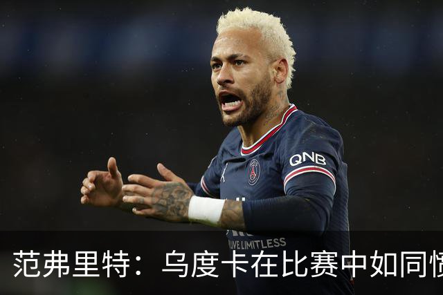 范弗里特：乌度卡在比赛中如同愤怒的公牛，我是纽带